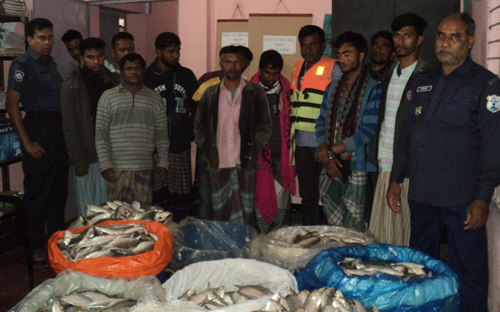 বরিশালে বিপুল পরিমান জাটকা-১১ ব্যবসায়ি-২ ট্রলার নৌপুলিশের কজ্বায়
