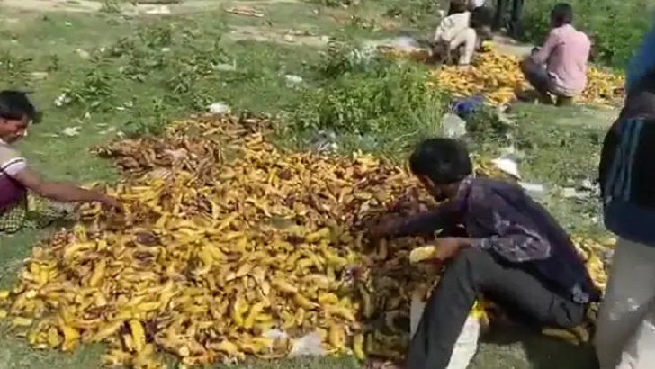 ভারতে পচা কলা কুড়িয়ে খাচ্ছেন ক্ষুধার্ত শ্রমিকরা