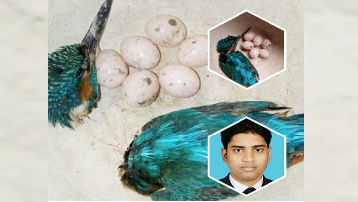 পাখির গলা কেটে ফেসবুকে পোস্ট,ছাত্রদল নেতার বিরুদ্ধে মামলা