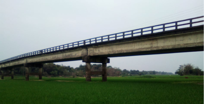 ধর্মপাশায় ঘাসি নদীতে ধান চাষ
