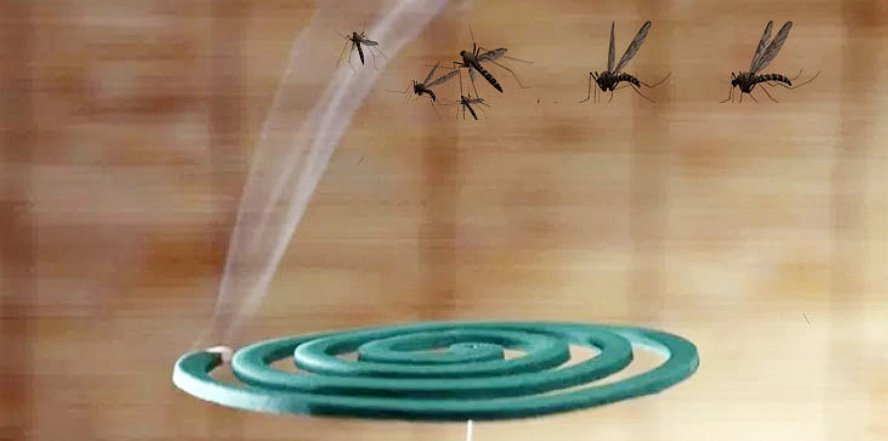 মশা বিতাড়নের পণ্যেও নেই নিয়ন্ত্রণ