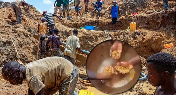 মাটি খুঁড়লেই মিলছে সোনা!হুলুস্থুল গ্রামবাসীর(ভিডিও)