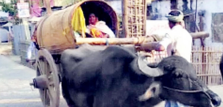 অ্যাম্বুলেন্স না দেয়ায় মহিষের গাড়িতে হাসপাতালে গর্ভবতী নারী