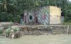 ডুবতে শুরু করছে হিজলা উপজেলার সিংহভাগ আঞ্চল ।।ভাঙগনের মুখে একের পর এক গ্রাম