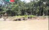 বরিশাল সদর সায়েস্তাবাদ শর্তশত পরিবারের ঘর বাড়ি নদীতে বিলিনের পথে (ভিডিওসহ)