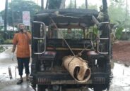 মধুপুরে গণপিটুনিতে ১ জনের মৃত্যু