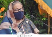 কোনোভাবেই স্বাধীনতা যেন ব্যর্থ না হয়:প্রধানমন্ত্রী