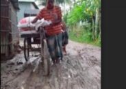 মধুপুরে আকাশী ফুলবাড়ী মোড় হতে রানিয়াদ ভাঙ্গা বাসস্ট্যান্ড পর্যন্ত সড়কের বেহাল অবস্হা