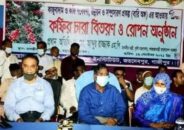 কফি ও কাজুবাদামের চারা বিতরণ উদ্বোধন করলেন -কৃষিমন্ত্রী