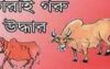 হিজলায় চোরাই গরু উদ্ধার:চোরের পক্ষে সাধু ব্যাক্তিরা