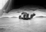 বরিশালে বসত ঘরে মিলল গৃহবধূর লাশ