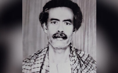 আমির হামজার স্বাধীনতা পুরস্কার বাতিল