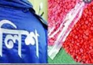 মধ্যনগর বিপুল পরিমান ইয়াবাসহ এক জনকে আটক করে পুলিশ