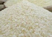 ধান-চালের অবৈধ মজুত ঠেকাতে মাঠে নামছে ৮ টিম