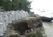 বালিই ভরসা- রক্ষা হবে কি হিজলা উপজেলা !