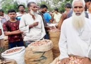 ৪০ কেজি পেঁয়াজ বেচে এক লিটার সয়াবিন কিনছেন চাষিরা