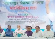 পদ্মা সেতু উদ্বোধনের দিন সাবধানে চলাচলের নির্দেশ প্রধানমন্ত্রীর