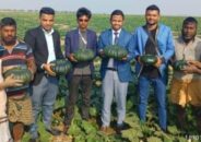 ধর্মপাশায় মিষ্টি কুমড়া চ চাষে স্বাবলম্বী তরুণ উদ্যোক্তা প্রিতম