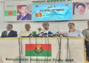 অসুস্থ রিজভীর সঙ্গে আচরণ মানবাধিকারের লঙ্ঘন: মির্জা ফখরুল