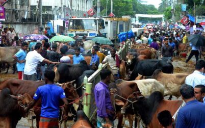 জমজমাট রাজধানীর পশুর হাট