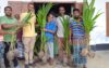 উজিরপুরে প্রধানমন্ত্রীর নির্দেশ বৃক্ষ রোপন কর্মসূচীর আয়োজন করা হয়