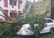 বরিশাল হিজলায় ঝড়ের তান্ডবে বাড়িঘর গাছপালা বিধ্বস্ত