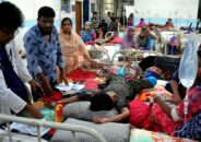 ডেঙ্গু জ্বরে প্রাণ গেল ১১ জনের