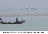 বরিশালের নদ নদীতে অবাধে শিকার হচ্ছে ইলিশের পোনা * তিন মাসেও সহায়তার চাল পায়নি ২ লাখ ৩০ হাজার ৩৮৯ জন জেলে
