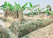 মঠবাড়িয়ায় ঘর ভাংচুর সহ চলার পথ অবরুদ্ধের অভিযোগ