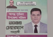 উপজেলা নির্বাচন বিএনপির সাবেক নেতাকে সমর্থন দিলেন আ.লীগের এমপি