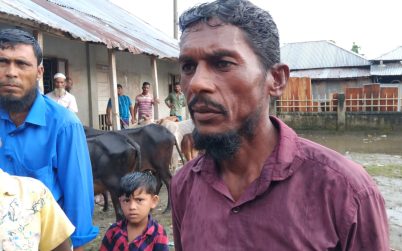 হিজলায় ৪টি চোরাই গরুসহ ২জন আটক থানায় মামলা