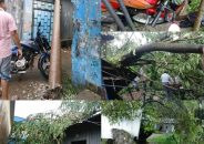চট্টগ্রাম এর দ্বীপ উপজেলা সন্দ্বীপে টর্নেডোর তাণ্ডব: ক্ষতিগ্রস্ত দোকান, বসতঘর, গাছ ও বিদ্যুৎ খুঁটি