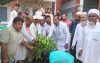 বরিশাল গৌরনদী ও আগৈলঝারায় বৃক্ষ  রোপন কর্মসূচি অনুষ্ঠিত হয়