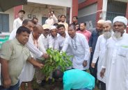 বরিশাল গৌরনদী ও আগৈলঝারায় বৃক্ষ  রোপন কর্মসূচি অনুষ্ঠিত হয়