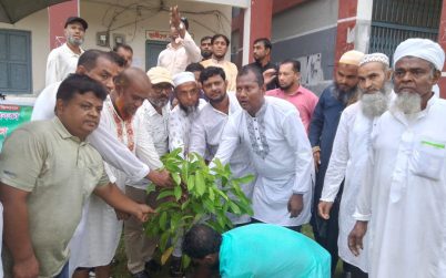 বরিশাল গৌরনদী ও আগৈলঝারায় বৃক্ষ  রোপন কর্মসূচি অনুষ্ঠিত হয়