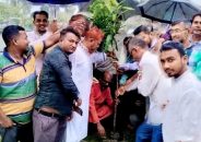 বরগুনায় জিয়াউর রহমানের শাহাদাৎ বার্ষিকী উপলক্ষে মাস ব্যাপী বৃক্ষরোপন কর্মসূচির  উদ্বোধন করা হয়
