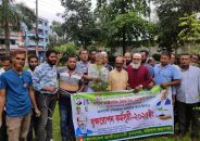 বরিশালে জিয়াউর রহমান র শাহাদাৎ বার্ষিকী উপলক্ষে মাস ব্যাপী বৃক্ষরোপন কর্মসূচির পালিত হয়