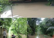 টানা বৃষ্টিতে ব্যাপক জলাবদ্ধতা, তলিয়ে গেছে ঘরবাড়ি ও রাস্তা — চরম দুর্ভোগে সাধারণ মানুষ