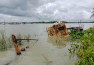 অযত্ন-অবহেলায় বাবুগঞ্জের নদীতে নষ্ট হচ্ছে সওজের-কোটি টাকার সম্পদ