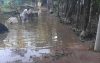 দীর্ঘদিন যাবত সংস্কার হচ্ছে না মুছাপুর আজিম শাহ কানেক্টিং সড়ক, এলাকাবাসীর চরম দূর্ভোগ।