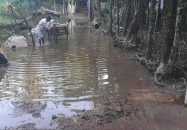 দীর্ঘদিন যাবত সংস্কার হচ্ছে না মুছাপুর আজিম শাহ কানেক্টিং সড়ক, এলাকাবাসীর চরম দূর্ভোগ।