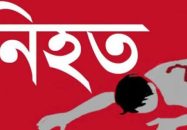 বরিশাল হিজলায় সড়ক দুর্ঘটনায় নিহত ১