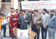 উজিরপুরে বিকল্প কর্মসংস্থানের লক্ষ্যে উপকরণ গরু বিতরণ