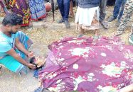 উজিরপুরে ঘাতক সাকুরা পরিবহনের চাপায় গ্রামীণ ব্যাংকের কর্মচারী নিহত।