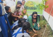 বাবুগঞ্জে ‘২৫ কোটি বৃক্ষরোপণ কর্মসূচি’ উপলক্ষে বৃক্ষরোপণ কার্যক্রম অনুষ্ঠিত