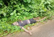 সড়কের পাশের বিদ্যুতের খুঁটিতে বিদ্যুৎস্পৃষ্ট হয়ে যুবকের মৃত্যু