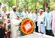 উজিরপুরে যথাযোগ্য মর্যদায় জুলাই গনঅ  ভ্যুত্থান দিবস পালিত।