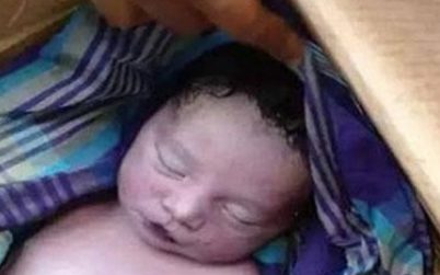 বরিশাল ময়লার স্তূপে দুই নবজাতকের মরদেহ, এ কেমন নির্মম পৃথিবী!