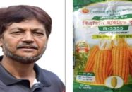বিএডিসির ভুট্টাবীজের মজুতে ৮৫ টনের গরমিল! ১৭৮ টনের বদলে ২৬৩ টন দেখানো, ৪ কোটি টাকার ক্রয় নিয়ে প্রশ্ন